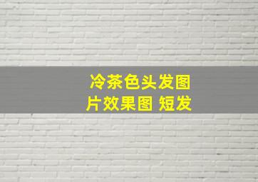 冷茶色头发图片效果图 短发